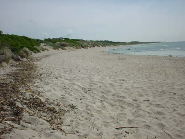 Boderne strand