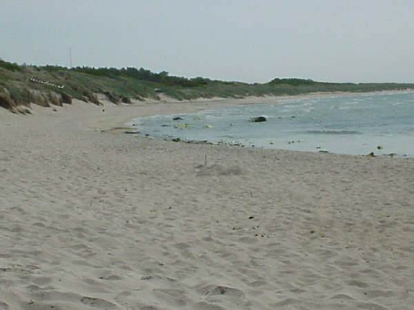 Boderne strand