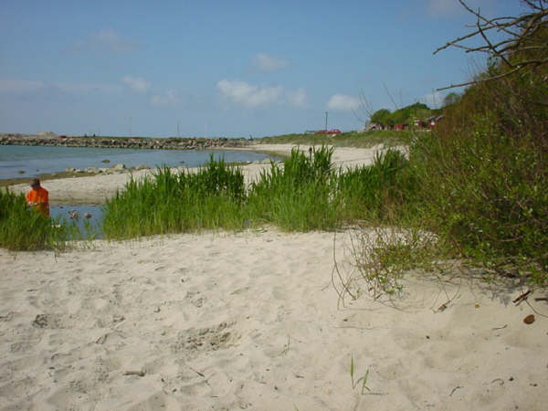 Boderne strand