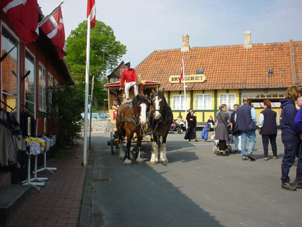 Svaneke torvedag